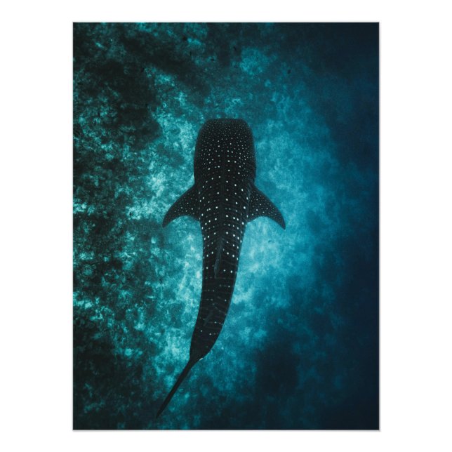 Whale Shark Depths – Ocean Wall Art (Front)