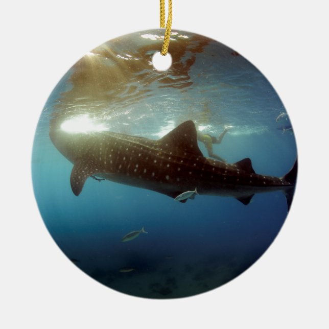 Whale shark feeding ceramic tree decoration (Front)