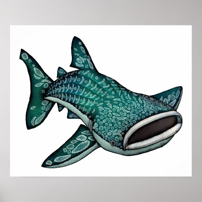 Whale Shark Illustration Poster (Front)