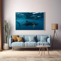 Whale Shark Nature Photograpy Undersea world 