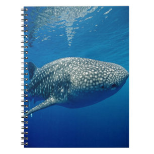 Whale Shark Notebook
