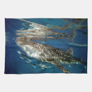 Whale shark Oslob Philippines Tea Towel