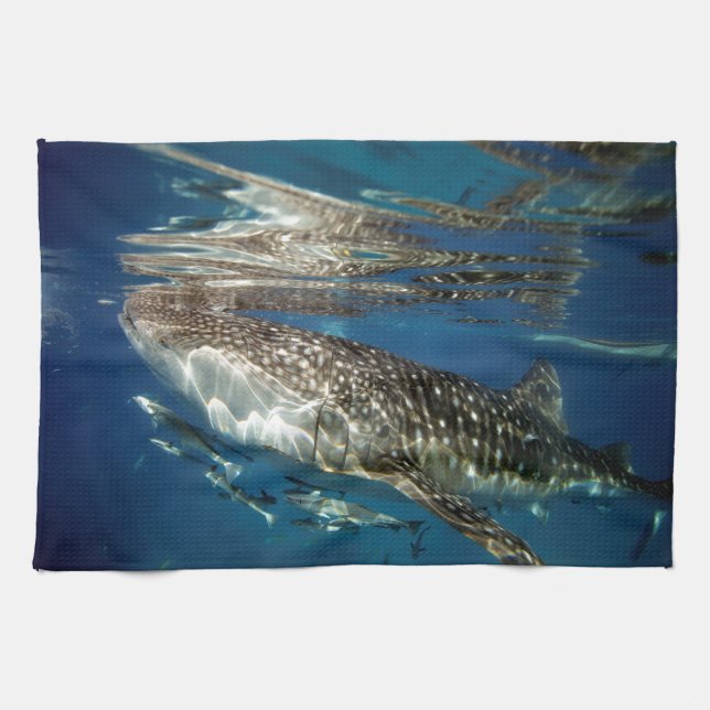 Whale shark Oslob Philippines Tea Towel (Horizontal)