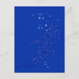 Whale Shark Postcard