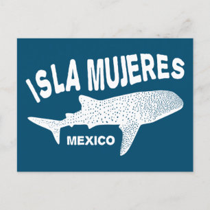 Whale Shark Scuba Diving   Isla Mujeres Postcard