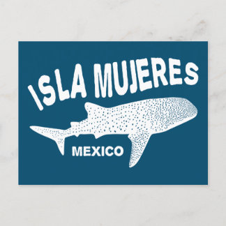 Whale Shark Scuba Diving | Isla Mujeres Postcard