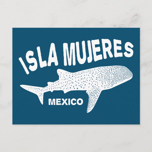 Whale Shark Scuba Diving | Isla Mujeres Postcard (Front)