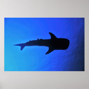 Whale Shark Silhouette Poster