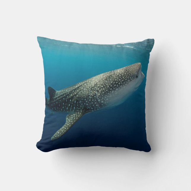 Whale Shark Swimming Cushion (Front)