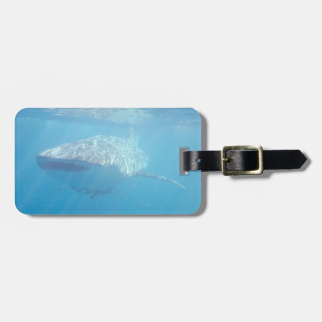 Whale Shark Underwater Close-up Luggage Tag (Front Horizontal)