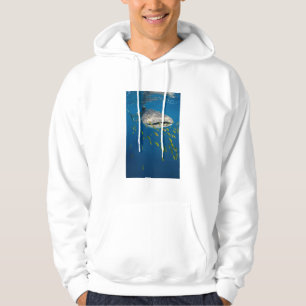 Whale Shark with fish, Indonesia Hoodie