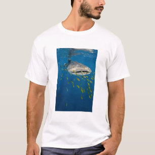 Whale Shark with fish, Indonesia T-Shirt