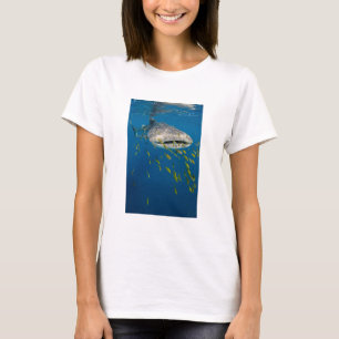 Whale Shark with fish, Indonesia T-Shirt