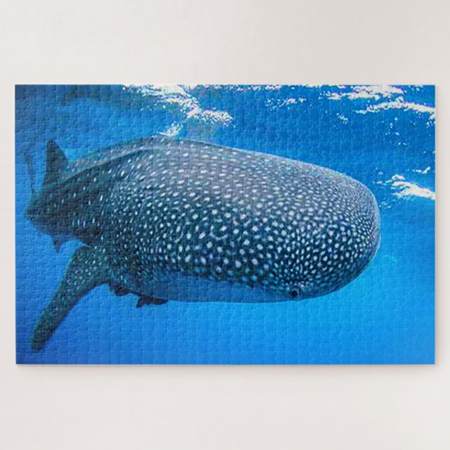 Whale Sharks Jigsaw Puzzle (Horizontal)