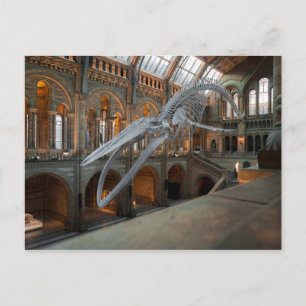 whale skeleton postcard