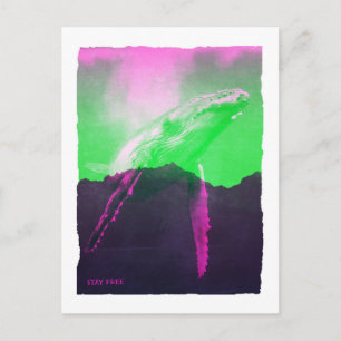 Whale Stay Free Postcard