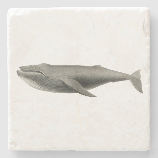 WHALE STONE COASTER (Front)