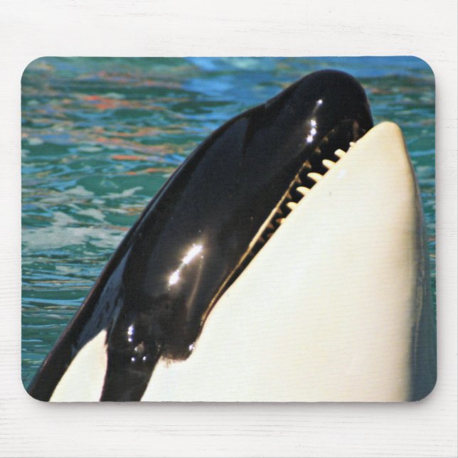 Whale Surfacing Ocean View Mouse Mat (Front)