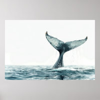 Whale tail coming out of the ocean