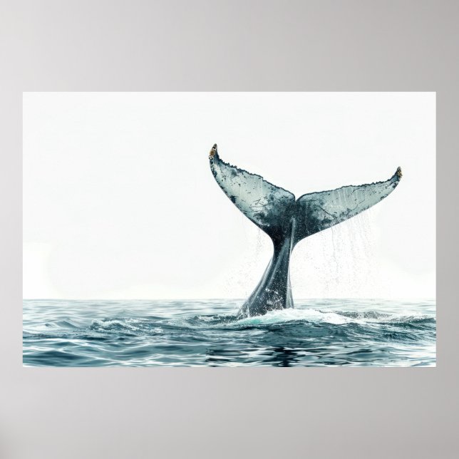 Whale tail coming out of the ocean   poster (Front)