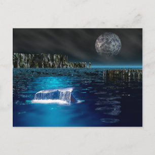 Whale Tail Postcard