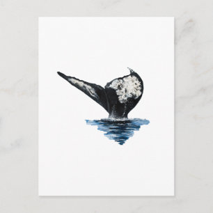 Whale Tail Postcard