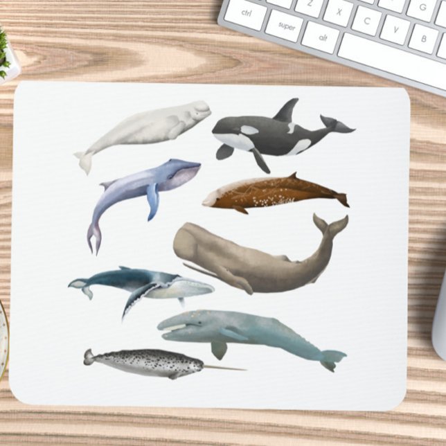  Whale Themed Mousepad  (Creator Uploaded)