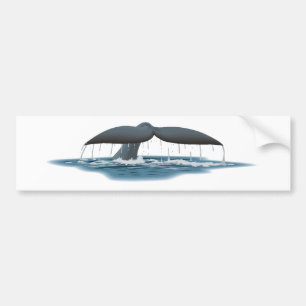 Whale Watcher Bumper Sticker