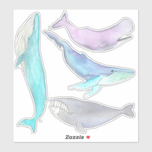 Whale Whale Whale... Whale Stickers
