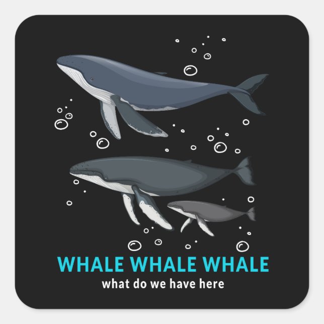 Whale Whale Whale What Do We Have Here Square Sticker (Front)