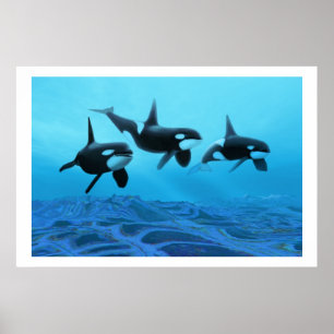 WHALE WORLD  PRINT