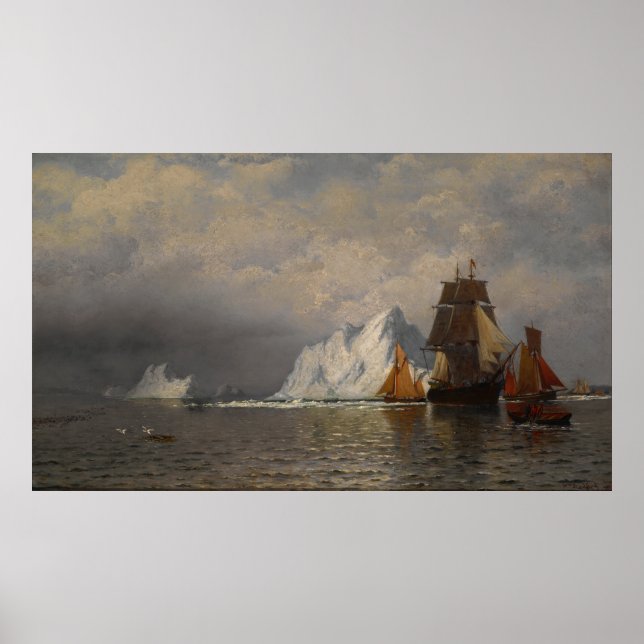 Whaler and Fishing Vessels near the Coast of Labra Poster (Front)