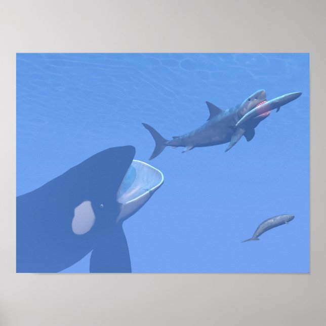 Whales and megalodon underwater - 3D render Poster (Front)