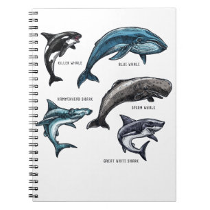 Whales and Sharks Marine Life Graphic Design Adult Notebook