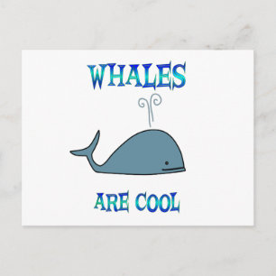Whales are Cool Postcard