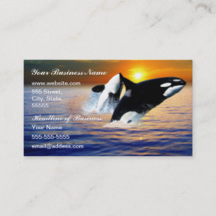 Whales at sunset business card