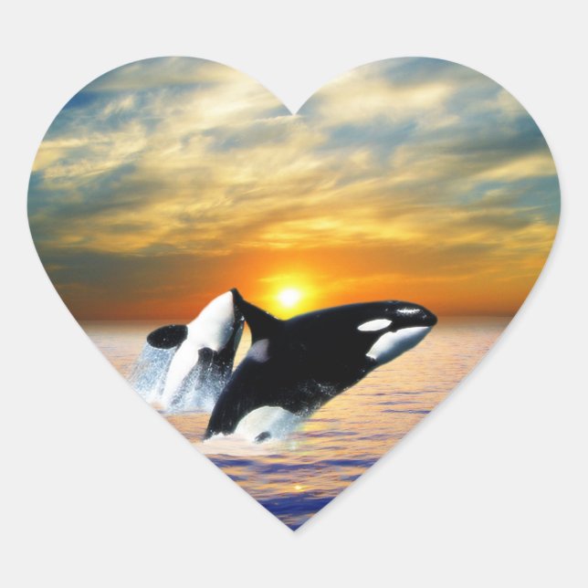 Whales at sunset heart sticker (Front)