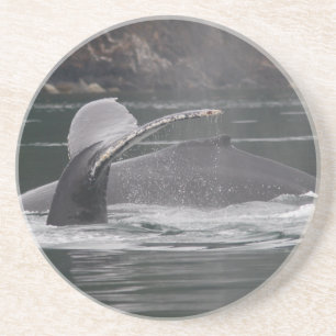 whales coaster