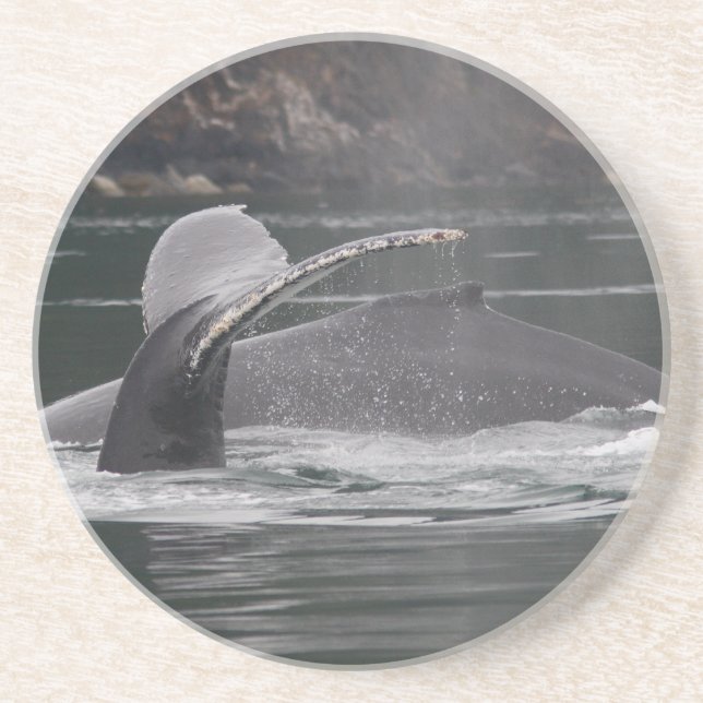whales coaster (Front)