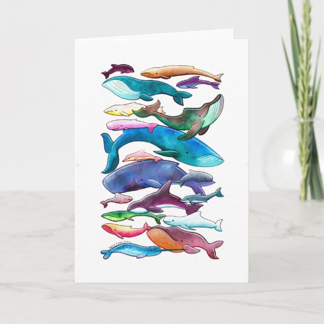 Whales, Dolphins & Porpoises Card (Front)