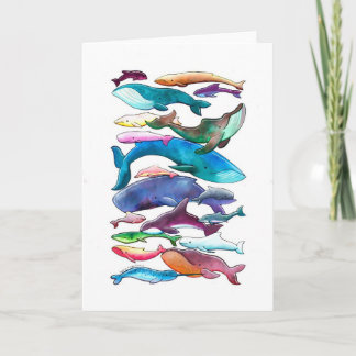 Whales, Dolphins & Porpoises Card