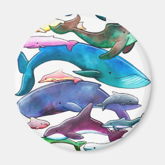 Whales, Dolphins & Porpoises Magnet