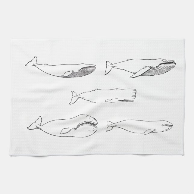 Whales Illustration (line art) Tea Towel (Horizontal)