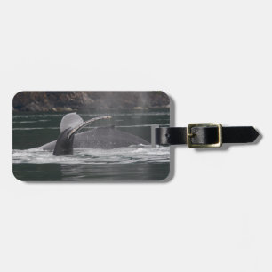 whales luggage tag