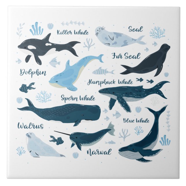 Whales & Marine Life Ocean Graphic Design Tile (Front)