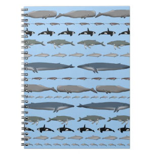 whales notebook