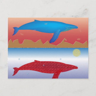 Whales Postcard