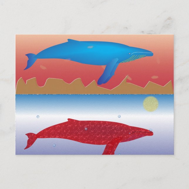 Whales Postcard (Front)