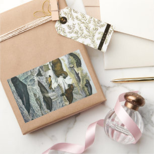 Whales, Seals and Walruses, Vintage Marine Animals