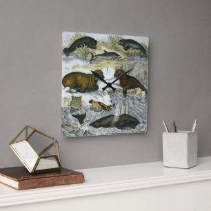 Whales, Seals and Walruses, Vintage Marine Animals Square Wall Clock